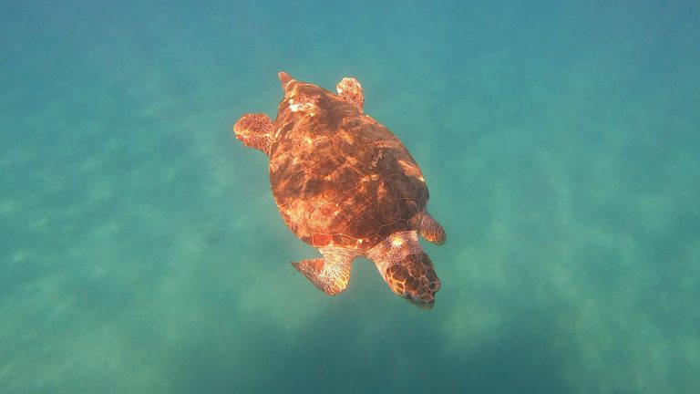 2E51FEC5-6416-4280-AE65-DA75A0371582