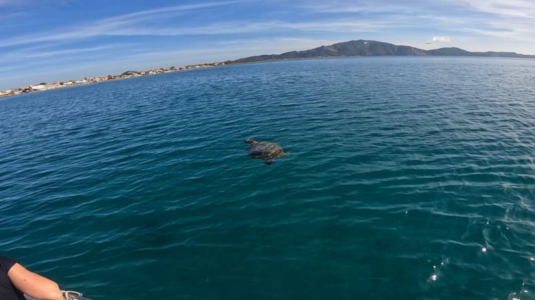 31249DA2-C9F6-4629-9731-4F6A4E4E829B