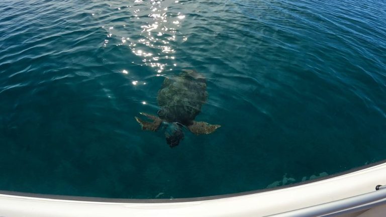 C26A3290-D45E-44A7-98C0-46A23F5DD51C